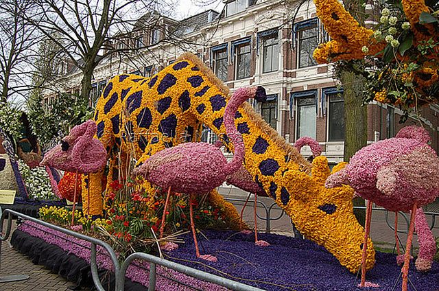 bloemencorso01.jpg