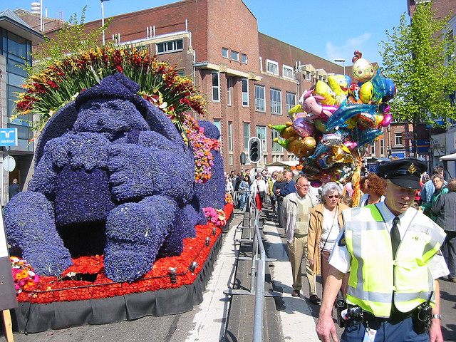 bloemencorso07.jpg