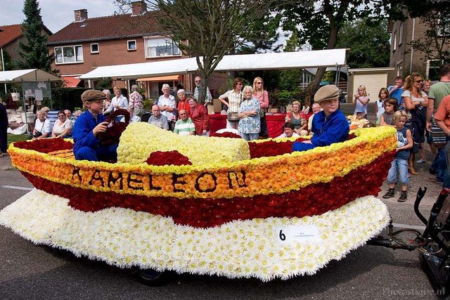 bloemencorso09.jpg