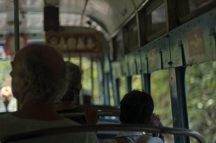 jungle-bus01.jpg