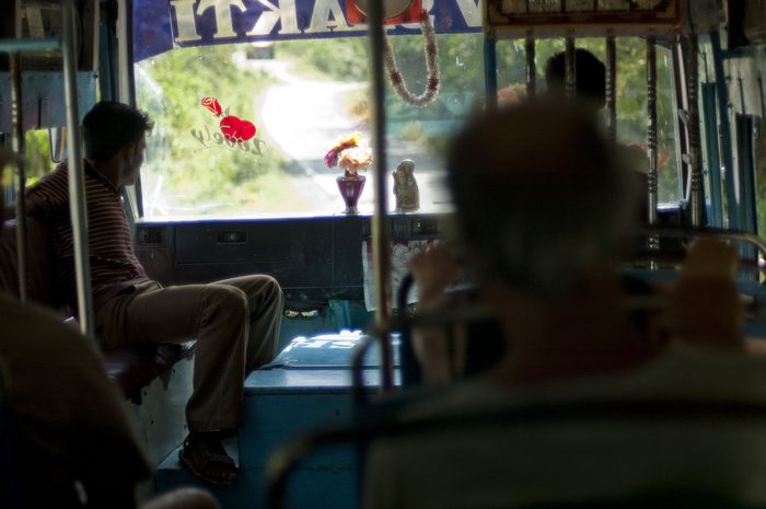 jungle-bus02.jpg