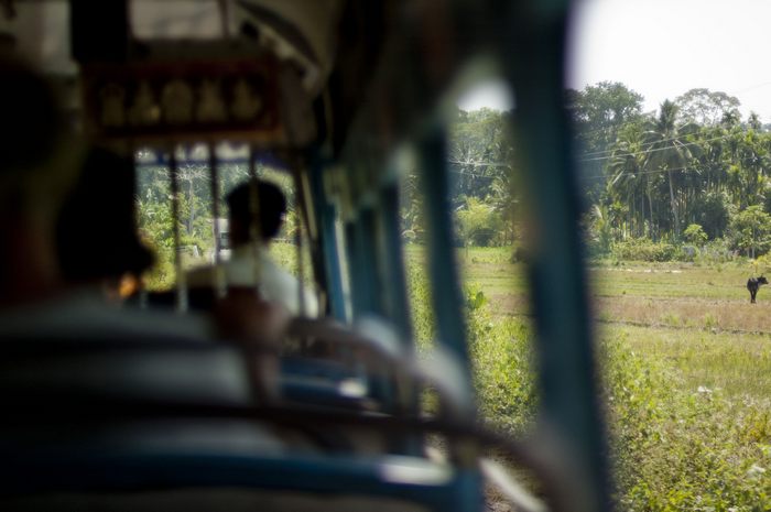 jungle-bus03.jpg