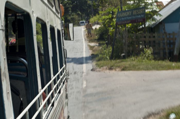 jungle-bus05.jpg