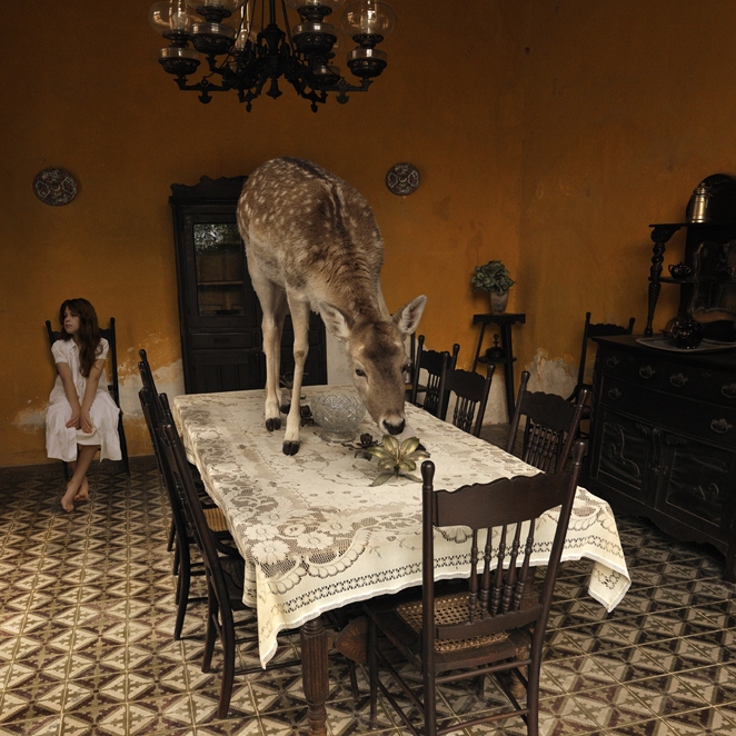 dreaming-in-reverse-03.jpg