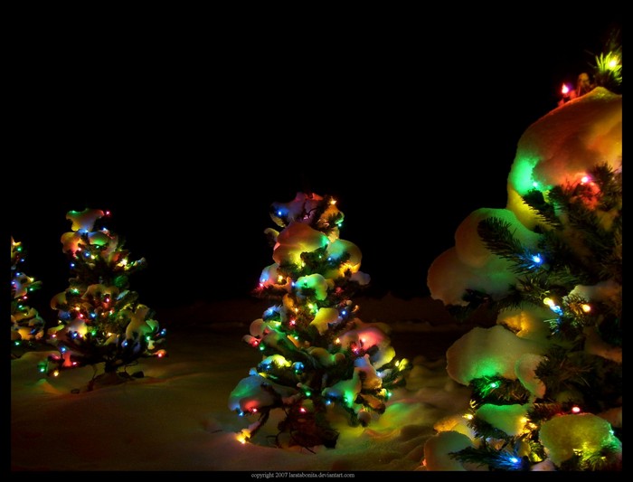 christmas-15.jpg