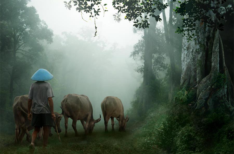 indonesia-by-budi-yuwono-17.jpg