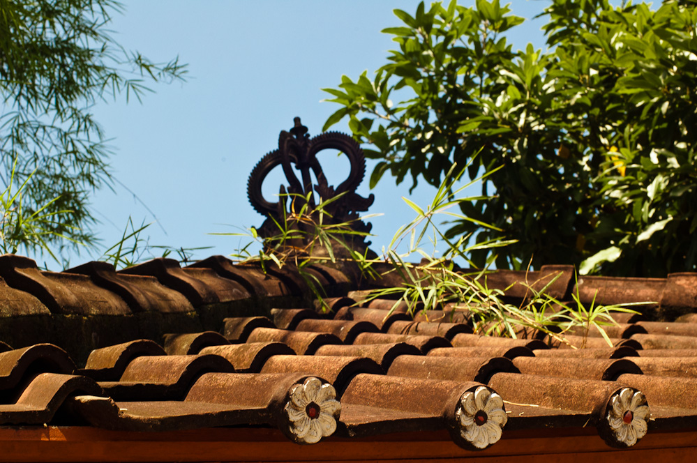 indonesian-elements-29.jpg