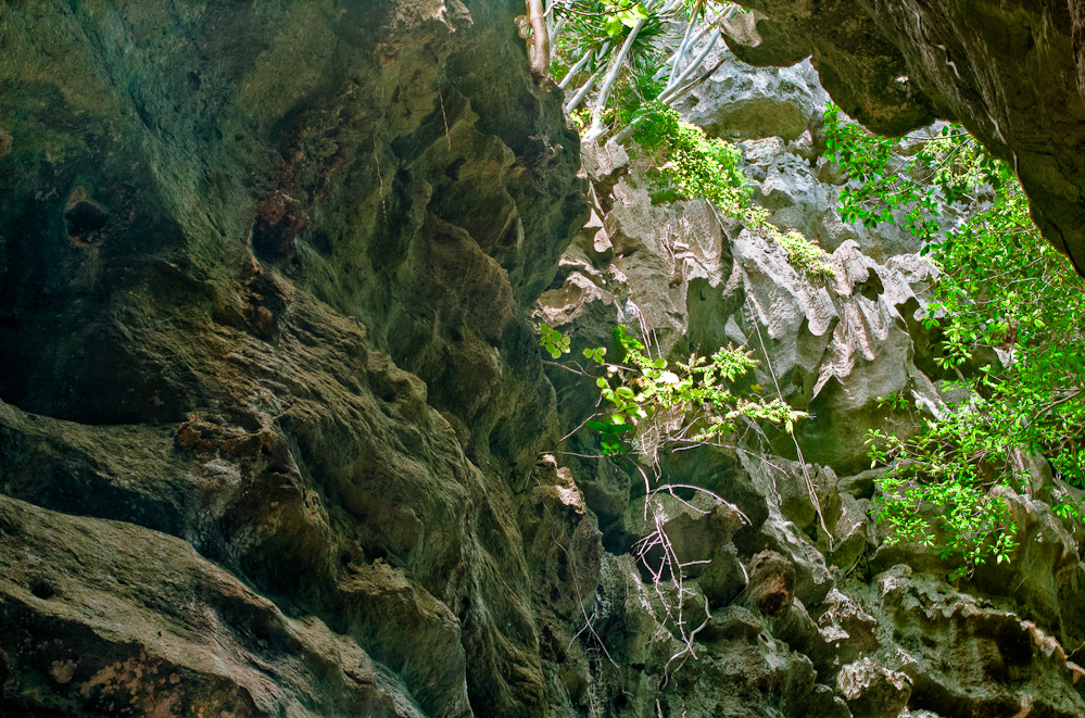 bamboo-cave-9