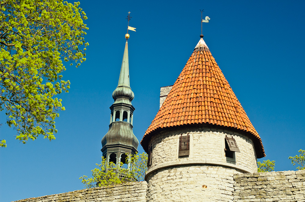 green-tallinn-11