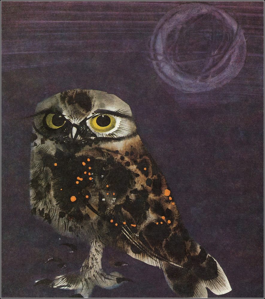 animal-book-22