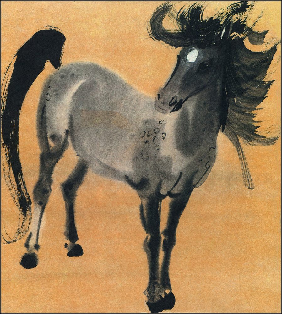 animal-book-4