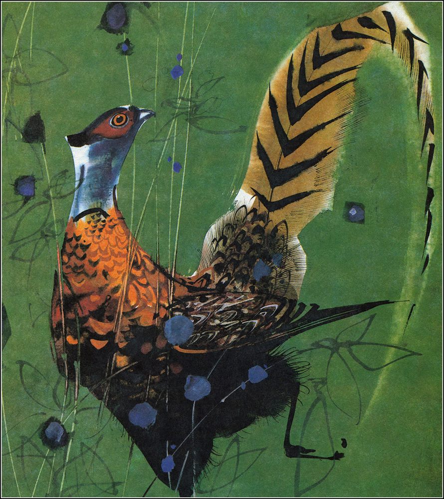 animal-book-6