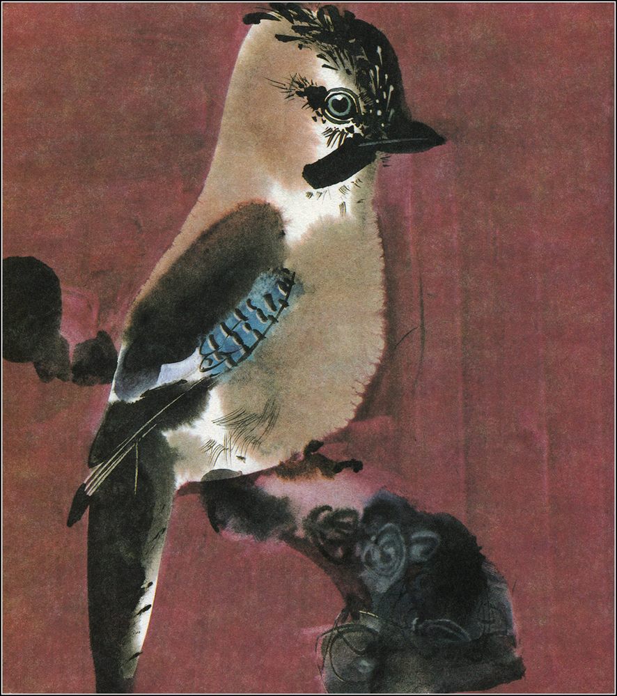 animal-book-9