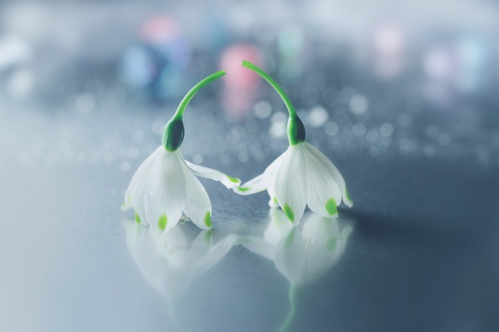 cute-macro-02