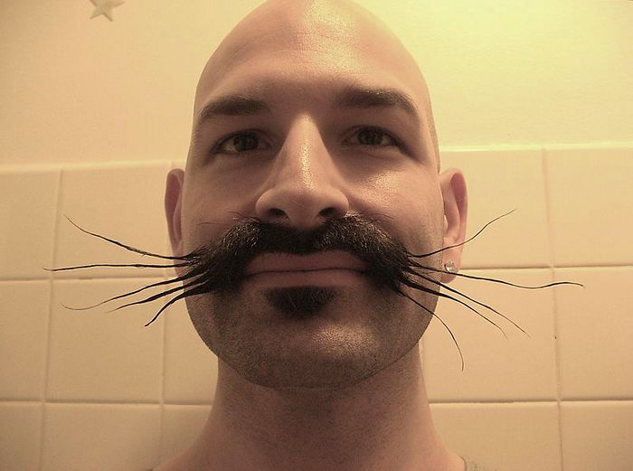 Чемпионат бород и усов beards-16