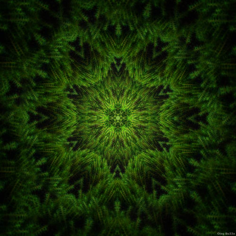 природа фрактал