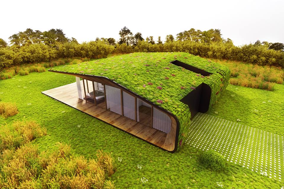 Экологичный дом: новые тенденции и актуальные темы в создании устойчивого жилья