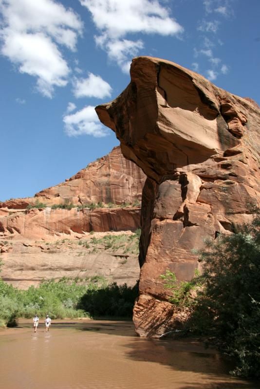 cat-rock03.jpg