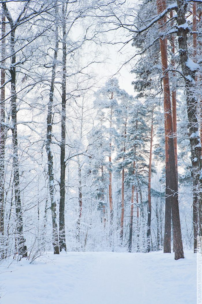 exe-qt-winter07.jpg