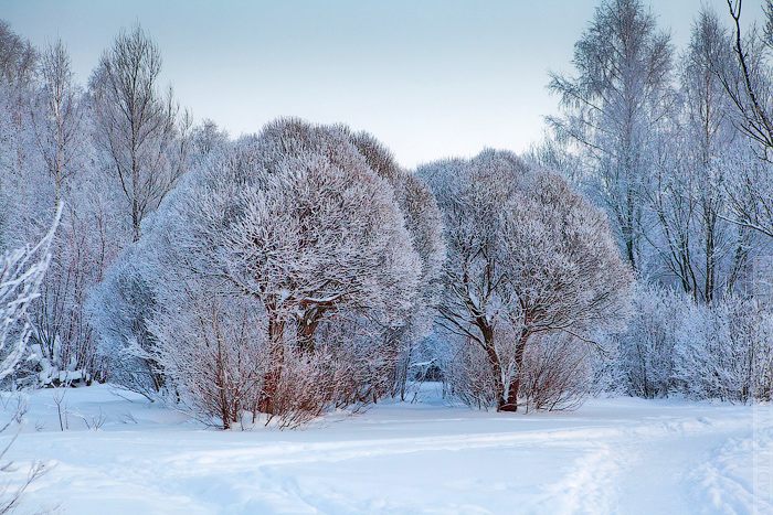 exe-qt-winter08.jpg
