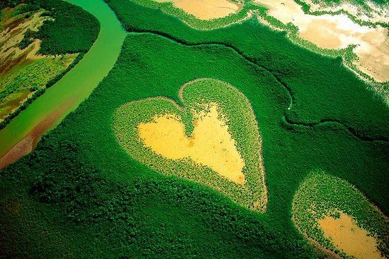 hearts-in-nature01.jpg