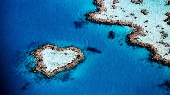 hearts-in-nature05.jpg