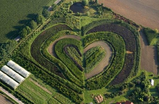 hearts-in-nature10.jpg