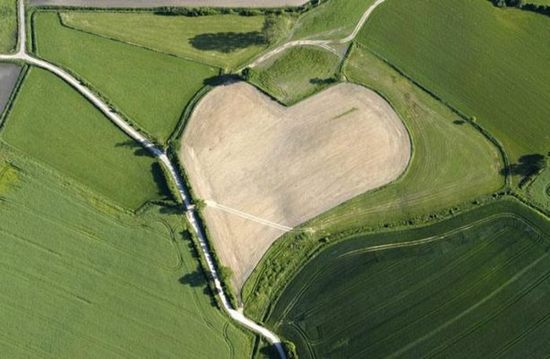 hearts-in-nature11.jpg