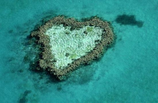 hearts-in-nature14.jpg
