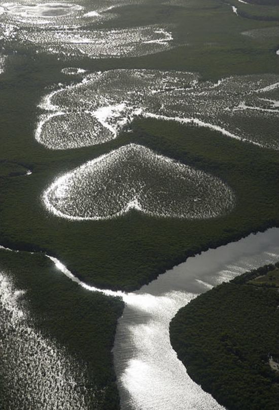 hearts-in-nature16.jpg