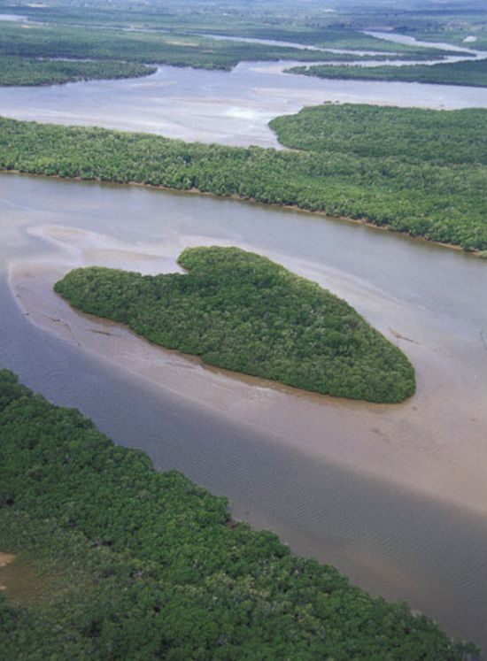 hearts-in-nature18.jpg