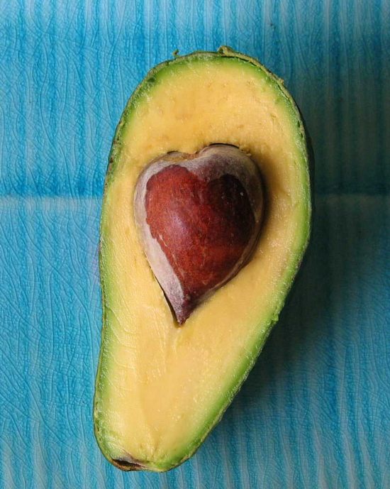 hearts-in-nature24.jpg