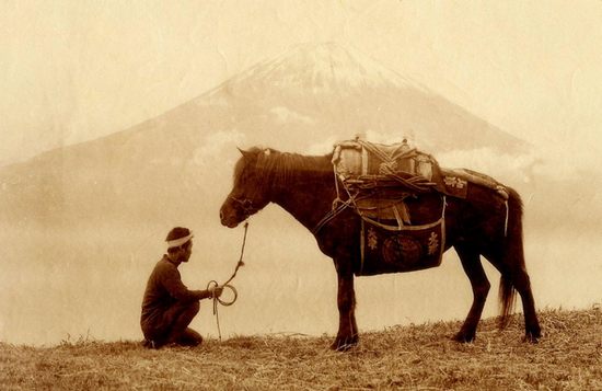 mt-fuji05.jpg
