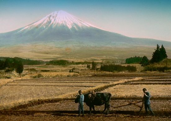 mt-fuji13.jpg