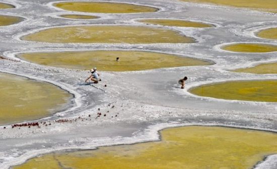 spotted-lake03.jpg