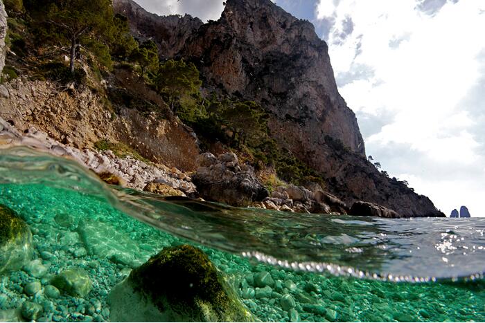 Catuogno-sea14.jpg
