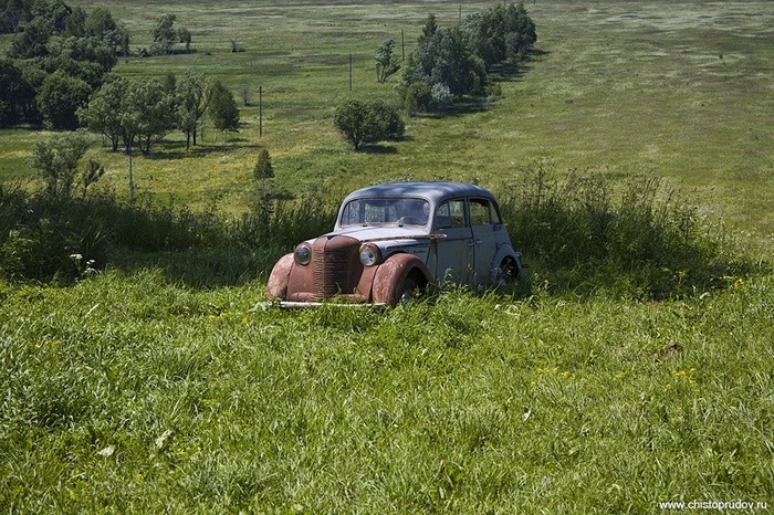 красинец
