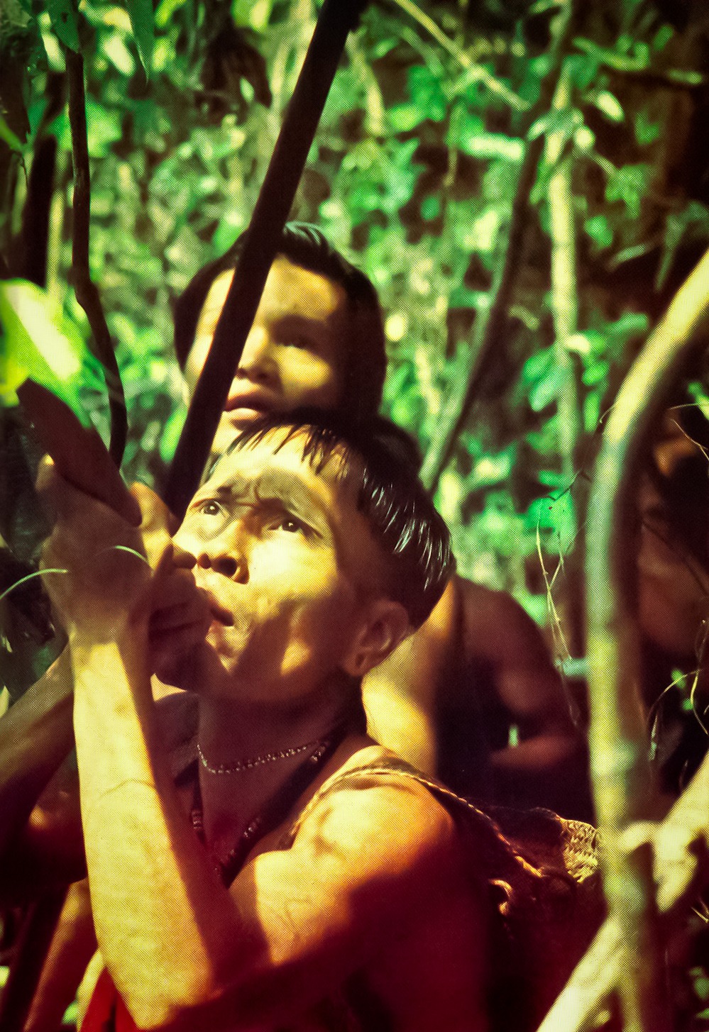 david-attenborough-10.jpg