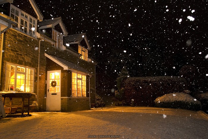 christmas-50.jpg