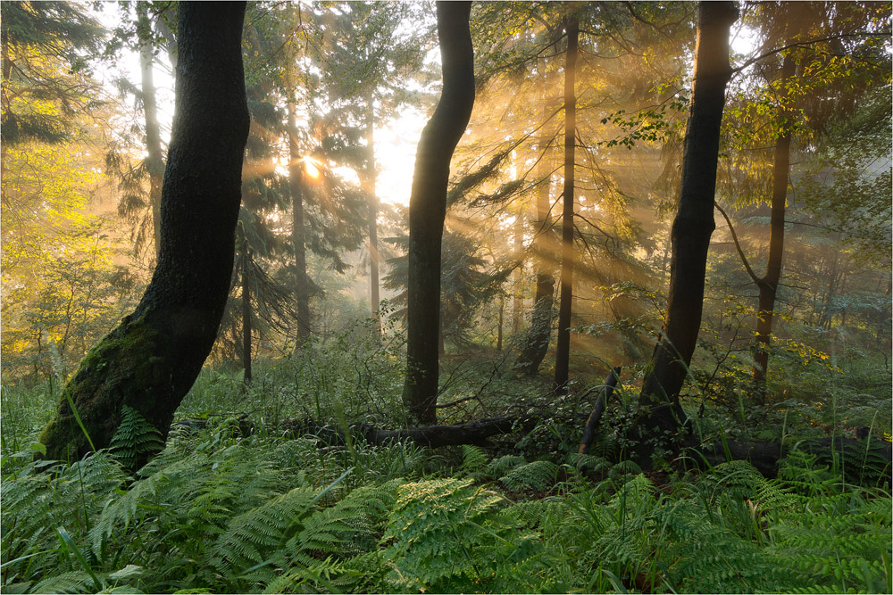 sunrise-13.jpg