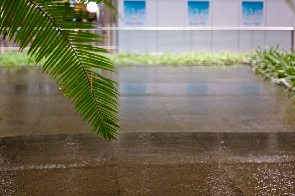 dubai-green-9.jpg