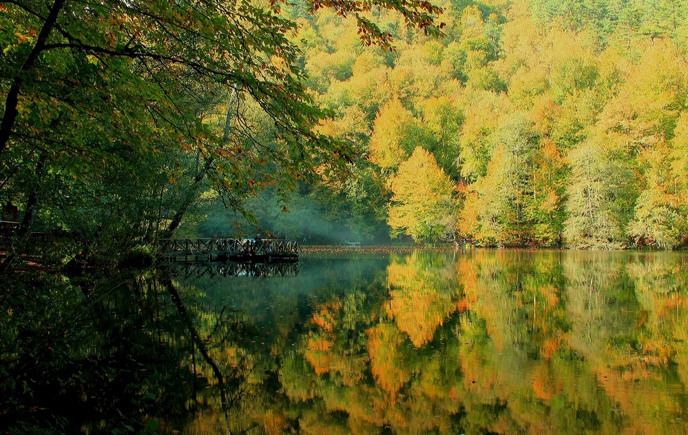 дзен фото