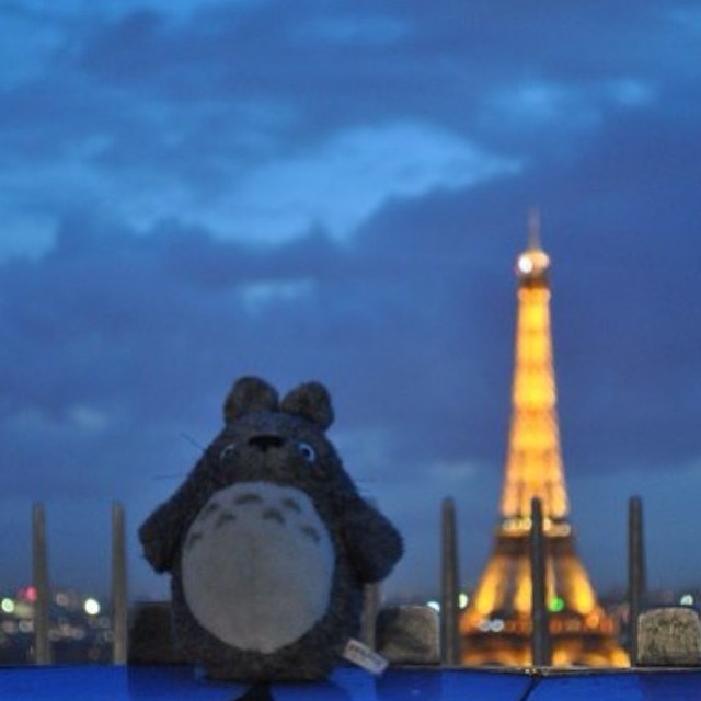 Тоторо путешествует totoro-traveller-15