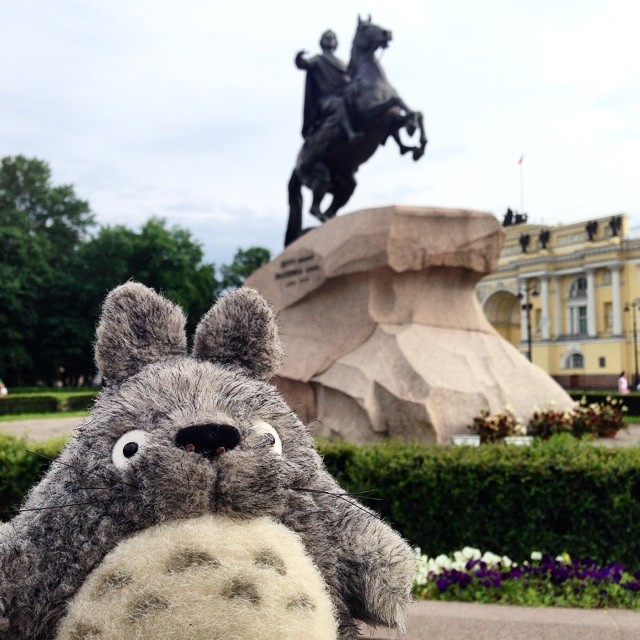 Тоторо путешествует totoro-traveller-16