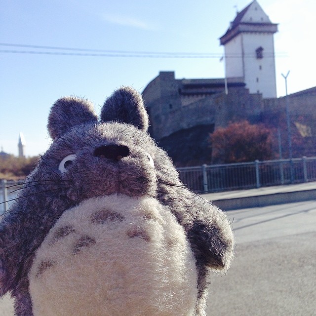 Тоторо путешествует totoro-traveller-19