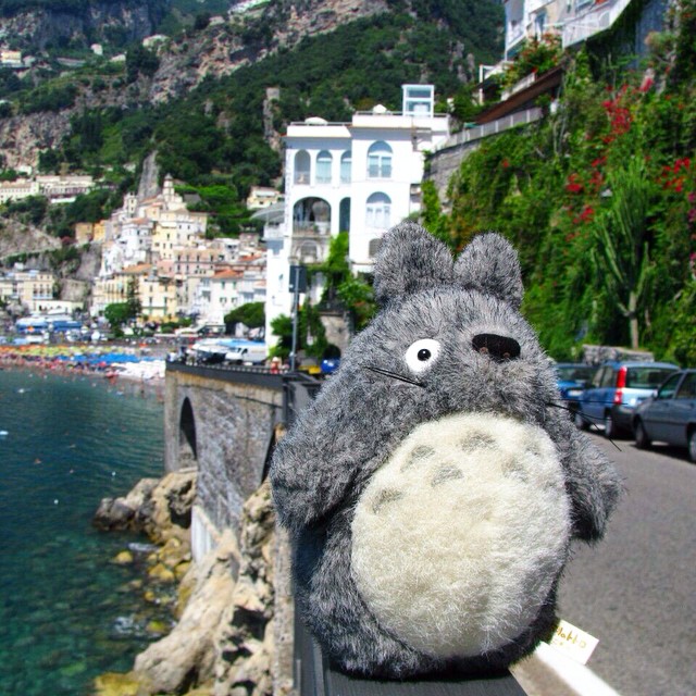 Тоторо путешествует totoro-traveller-20