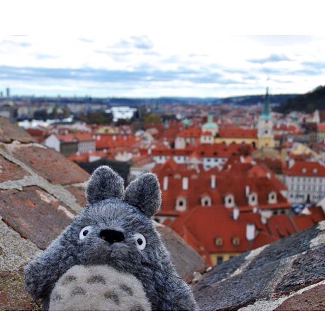 Тоторо путешествует totoro-traveller-21