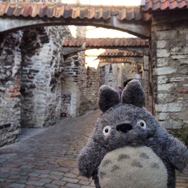 Тоторо путешествует totoro-traveller-22