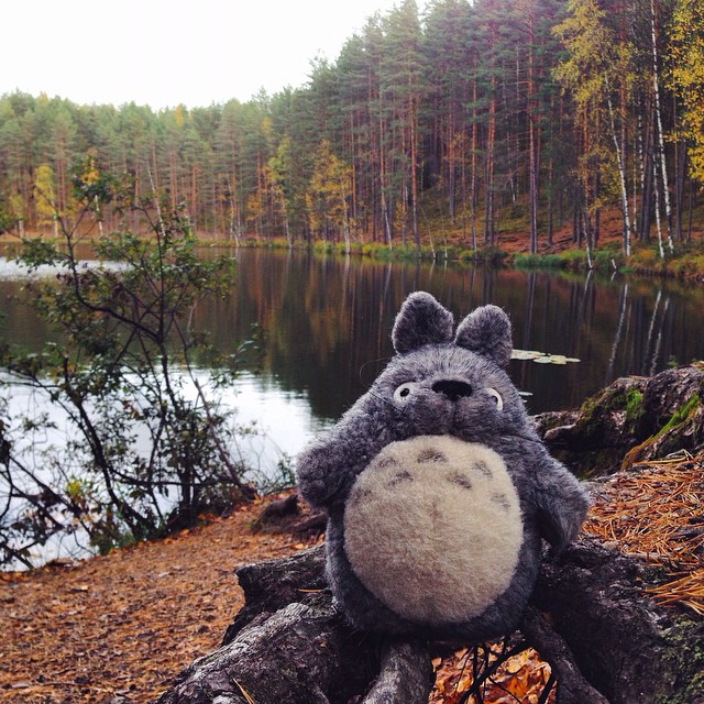 Тоторо путешествует totoro-traveller-24
