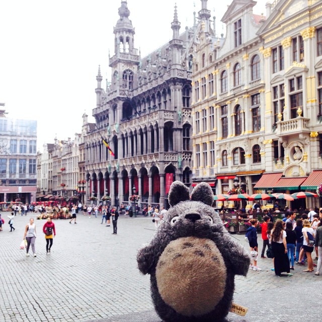 totoro-traveller-26